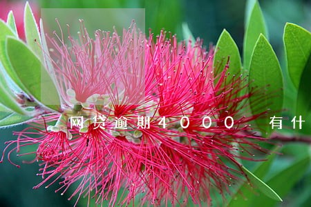 网贷逾期4000 有什么后果 网贷逾期4000 有什么后果
